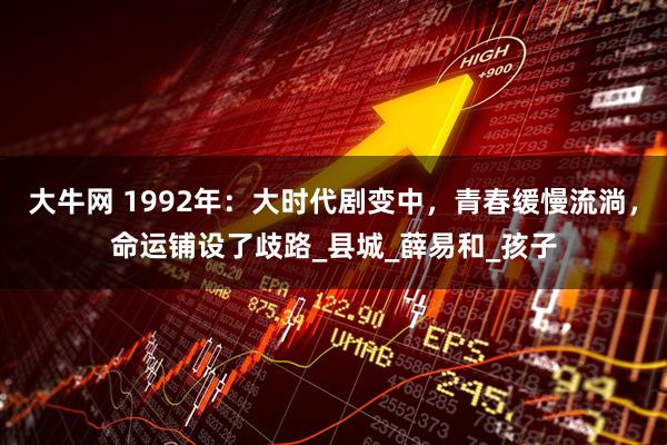 大牛网 1992年：大时代剧变中，青春缓慢流淌，命运铺设了歧路_县城_薛易和_孩子