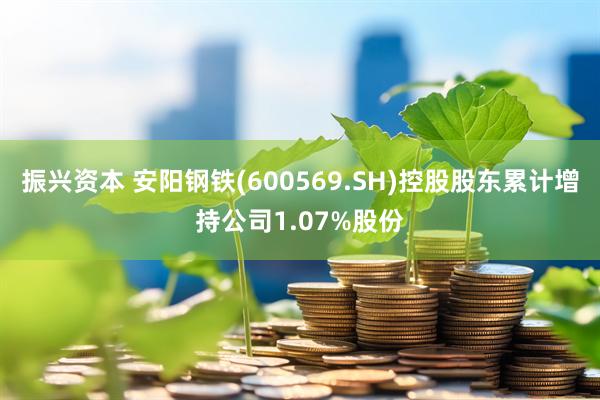 振兴资本 安阳钢铁(600569.SH)控股股东累计增持公司1.07%股份
