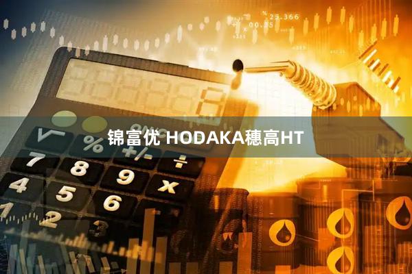 锦富优 HODAKA穗高HT